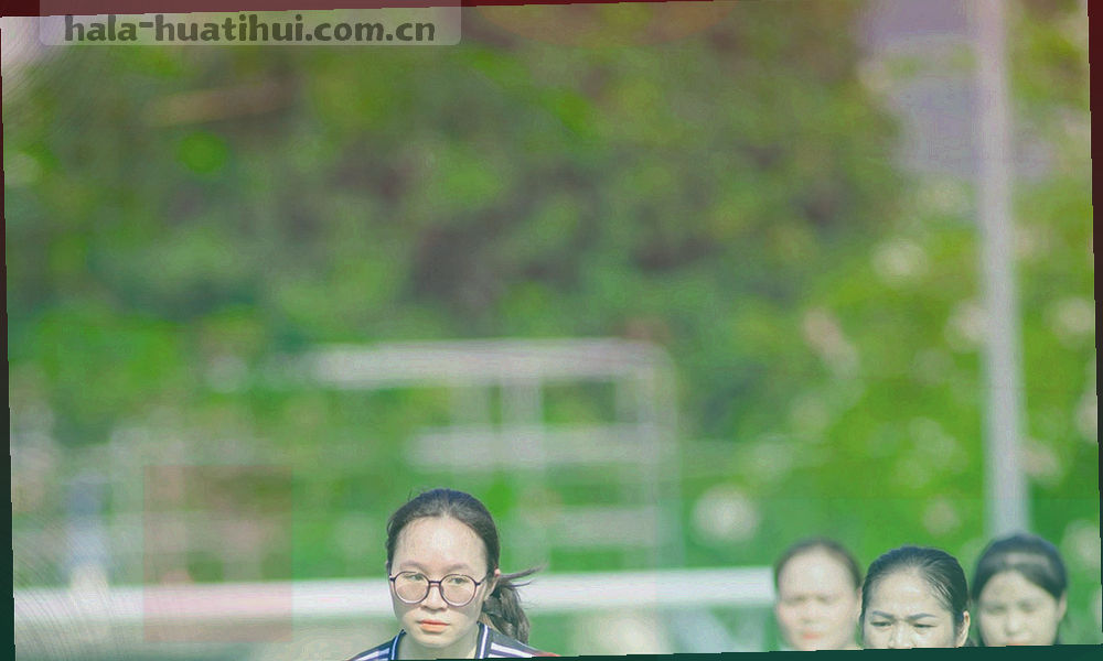由分类标签与箭头组成的反馈流转示意图形